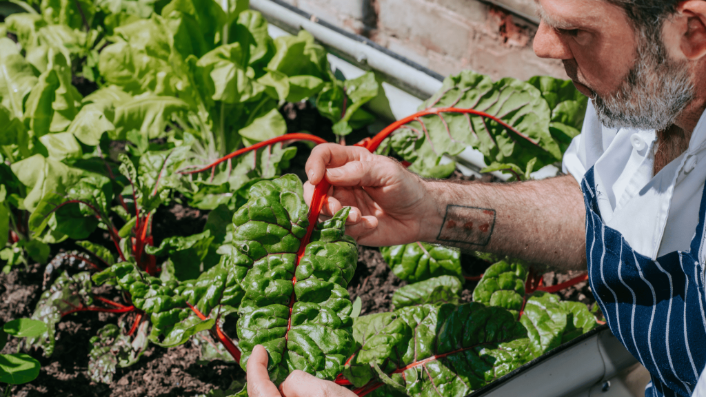 head chef at chapel house estate