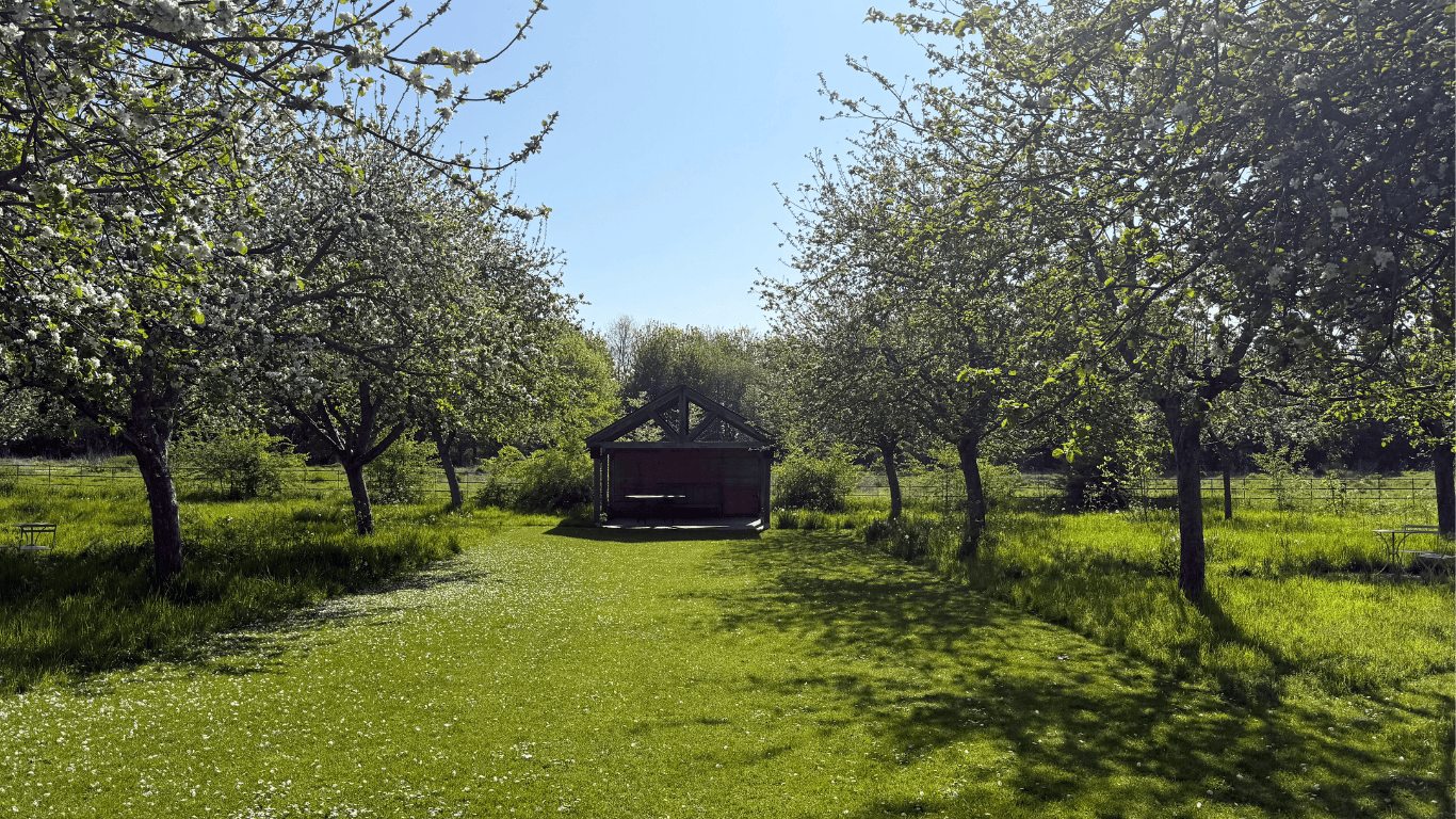 From Orchard to Table: How We Celebrate the Flavours of the Season
