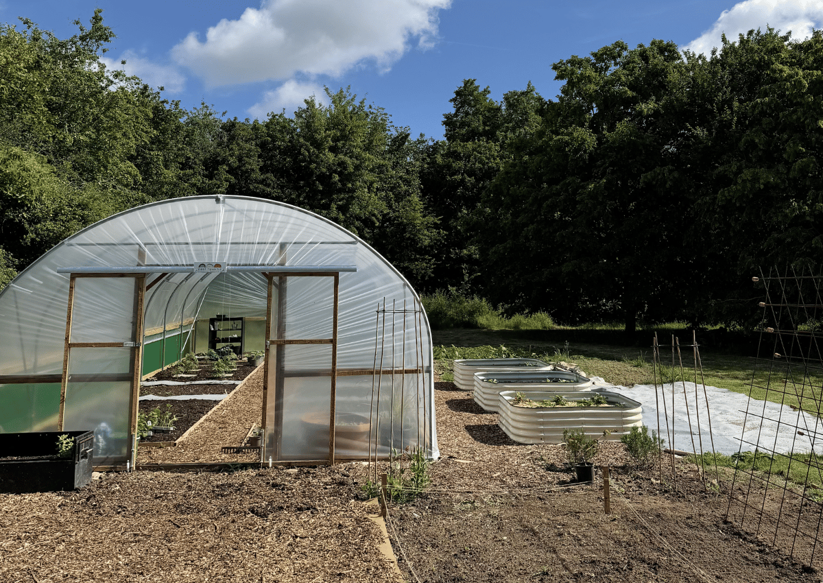 From Seed to Plate: Our New Polytunnel and Kitchen Garden